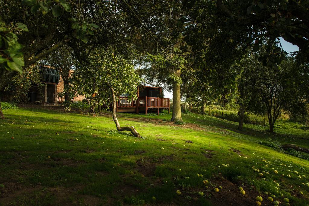 Bed and Breakfast Newsham Grange Farm Thirsk Exterior foto