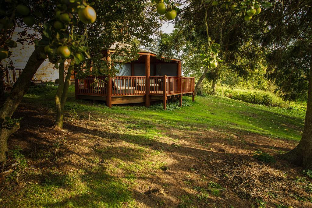 Bed and Breakfast Newsham Grange Farm Thirsk Exterior foto